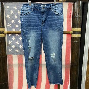 NWOT Lane Bryant by plus size Jeans